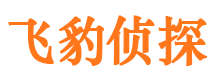 剑河侦探公司